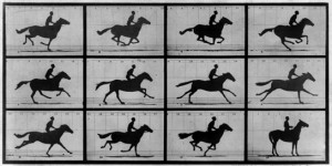 muybridge_galloping_horse (1)