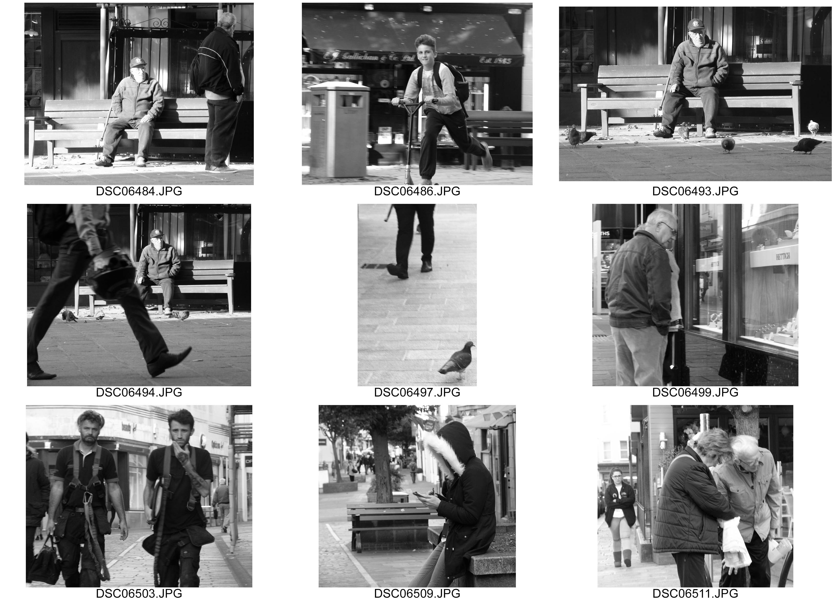 contactsheet-009