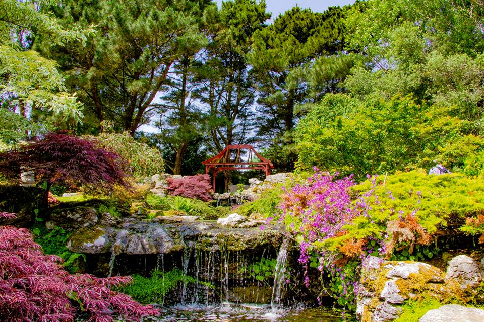 This image has an empty alt attribute; its file name is Japanese-Garden-at-The-Botanic-Gardens-at-Samares-Manor.jpg