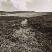 Fay Godwin | National Galleries of Scotland