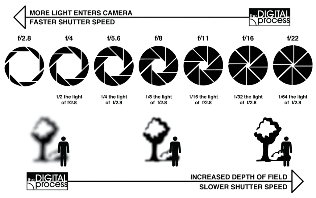 Aperture Priority and Depth of Field in Digital Photography